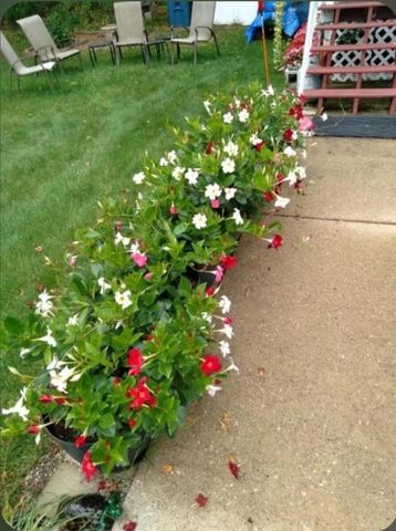 1829 Fay Street 269, Lowell, MI 49331