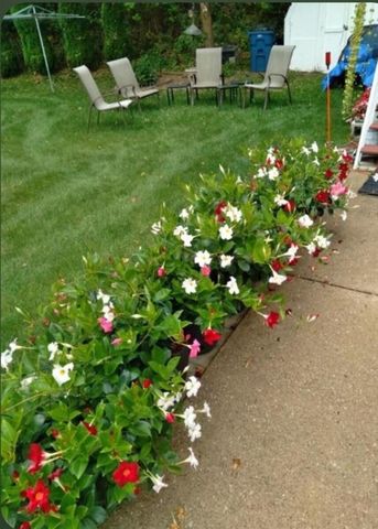 1829 Fay Street 269, Lowell, MI 49331