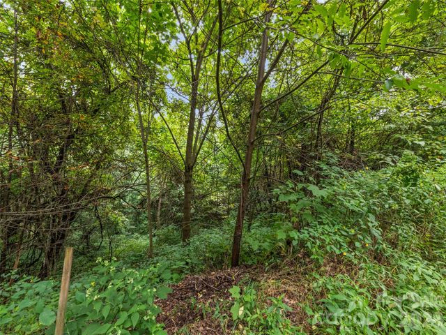 403 Malin Trail, Waynesville, NC 28786