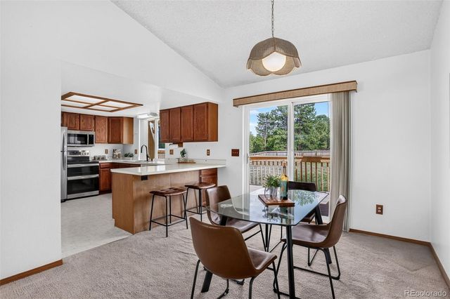 28384 Tresine Drive, Evergreen, CO 80439