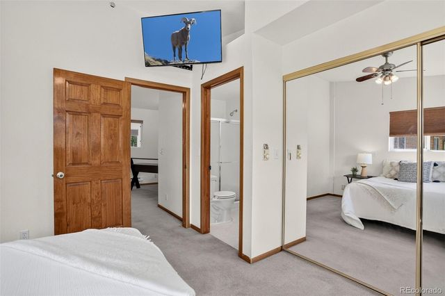 28384 Tresine Drive, Evergreen, CO 80439