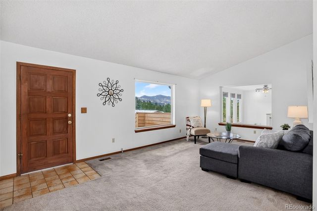 28384 Tresine Drive, Evergreen, CO 80439