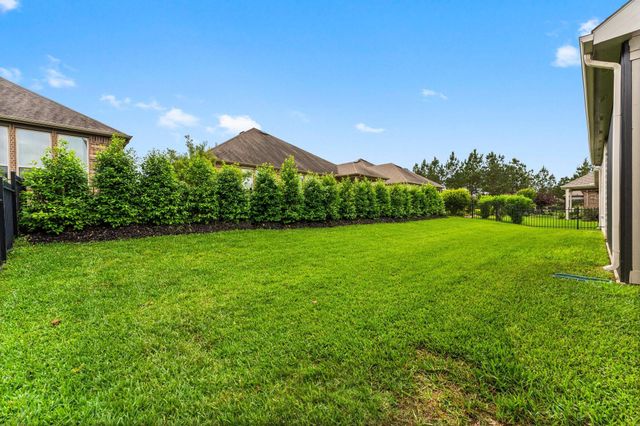 225 Fox Trotter, The Woodlands, TX 77382