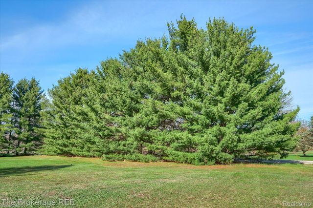 14445 Harris Road, Forest Township, MI 48746