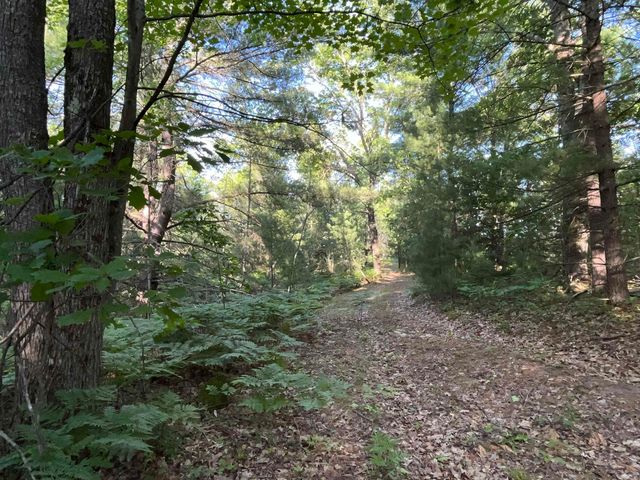 10470 Cedar Road, Lake, MI 48632