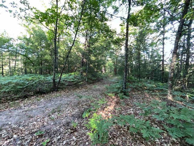 10470 Cedar Road, Lake, MI 48632