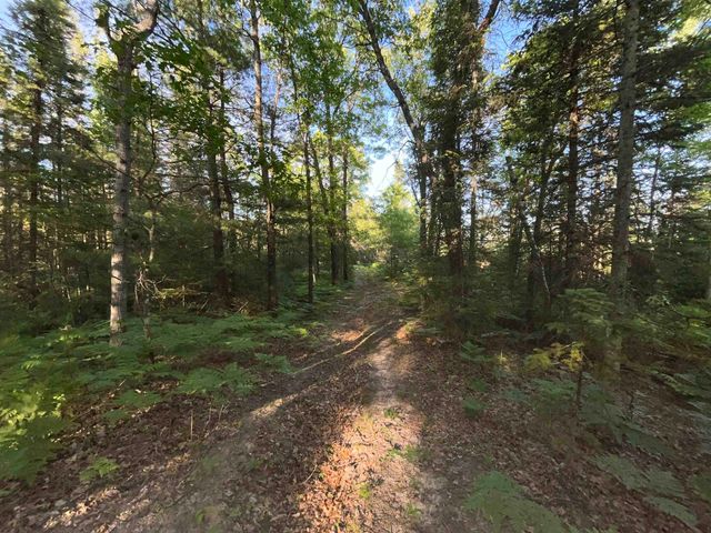 10470 Cedar Road, Lake, MI 48632