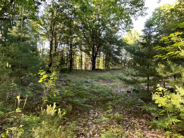 10470 Cedar Road, Lake, MI 48632