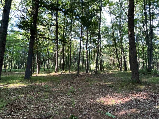 10470 Cedar Road, Lake, MI 48632