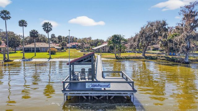 301 CLUSTERWOOD DRIVE, Yalaha, FL 34797