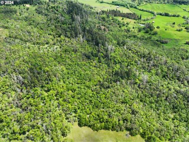 5961 LOOKINGGLASS Rd, Roseburg, OR 97470