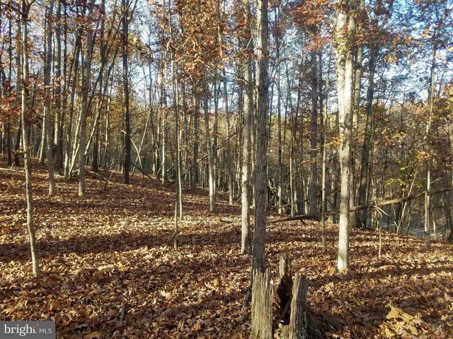 TURKEY HOLLOW RD, Romney, WV 26757