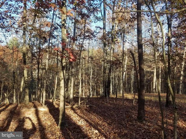 TURKEY HOLLOW RD, Romney, WV 26757