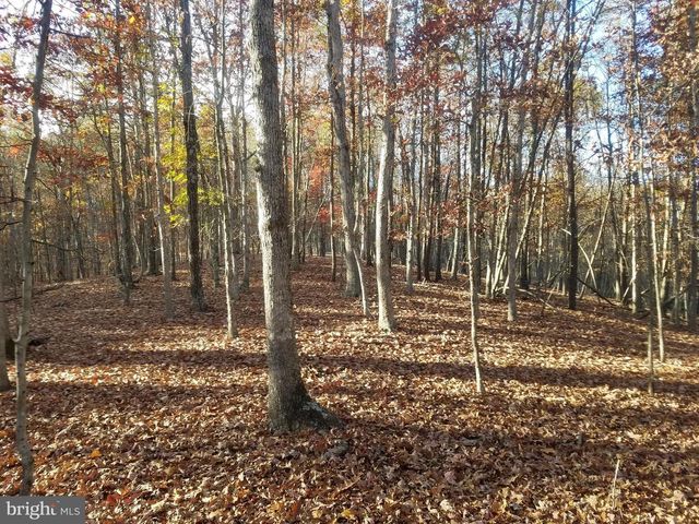 TURKEY HOLLOW RD, Romney, WV 26757