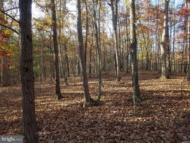 TURKEY HOLLOW RD, Romney, WV 26757