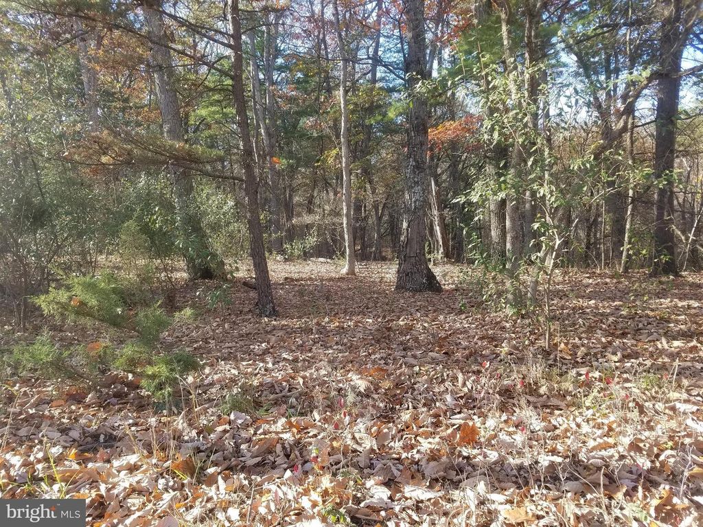 TURKEY HOLLOW RD, Romney, WV 26757