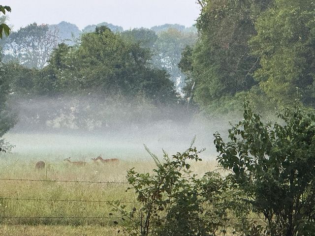 1908 State Highway Jj, Sparta, MO 65753