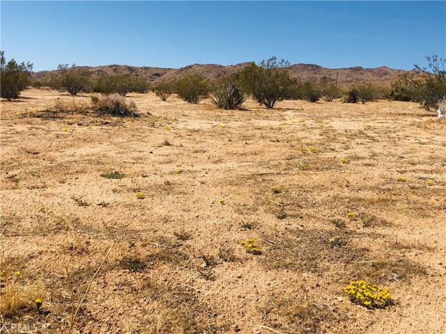 2 Geronimo, Landers, CA 92285