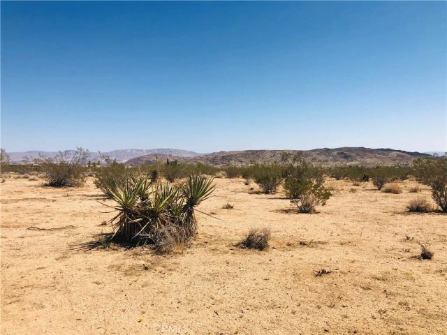 2 Geronimo, Landers, CA 92285