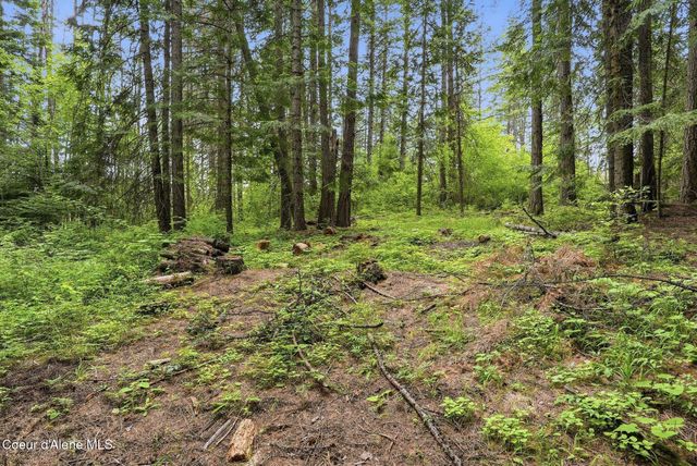 256 Poverty Ln, Spirit Lake, ID 83869