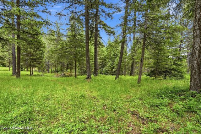 256 Poverty Ln, Spirit Lake, ID 83869