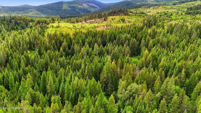 256 Poverty Ln, Spirit Lake, ID 83869