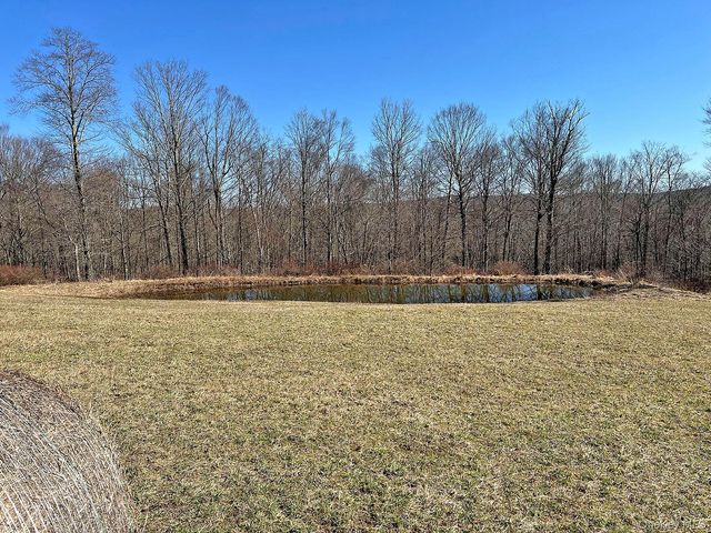 57 Boettger Road, Callicoon, NY 12723