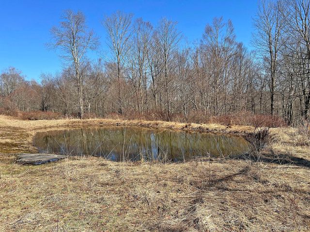 57 Boettger Road, Callicoon, NY 12723