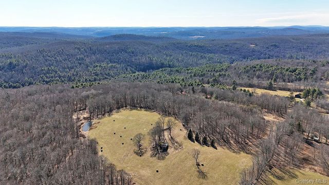 57 Boettger Road, Callicoon, NY 12723