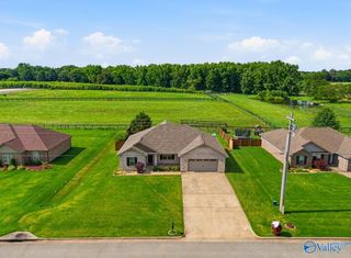28329 Ferguson Lane, Toney, AL 35733