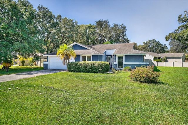 5388 BLACK PINE DRIVE, Tampa, FL 33624