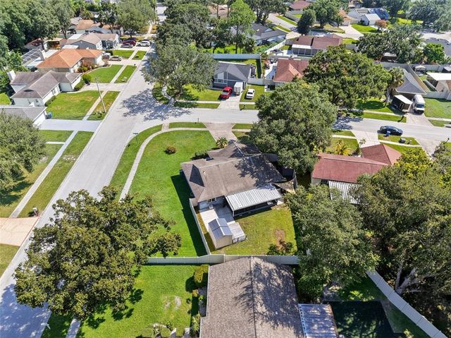 5388 BLACK PINE DRIVE, Tampa, FL 33624