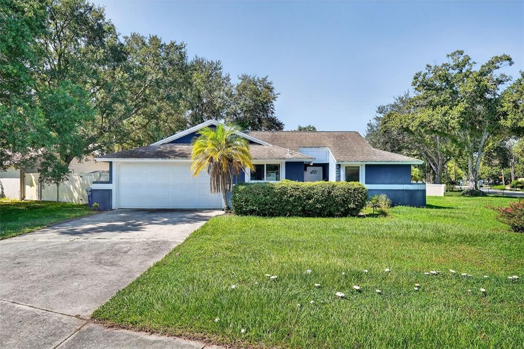5388 BLACK PINE DRIVE, Tampa, FL 33624