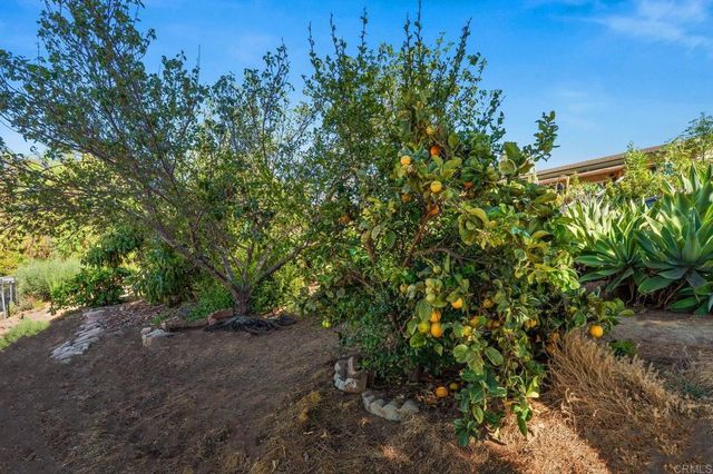 510 Burgasia Path, El Cajon, CA 92019