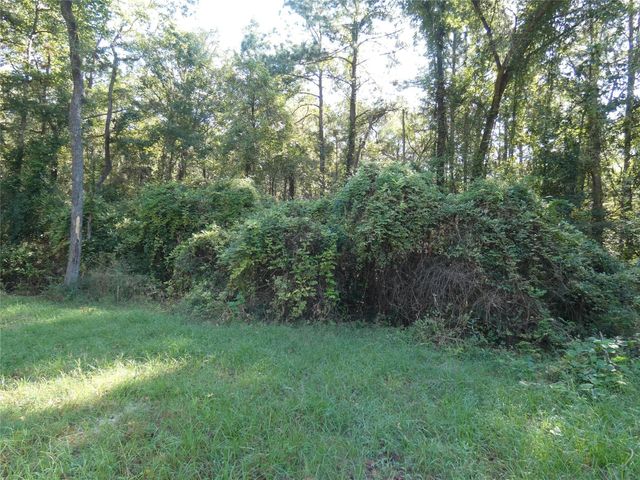 177 Tic Toc Lane, Trinity, TX 75862