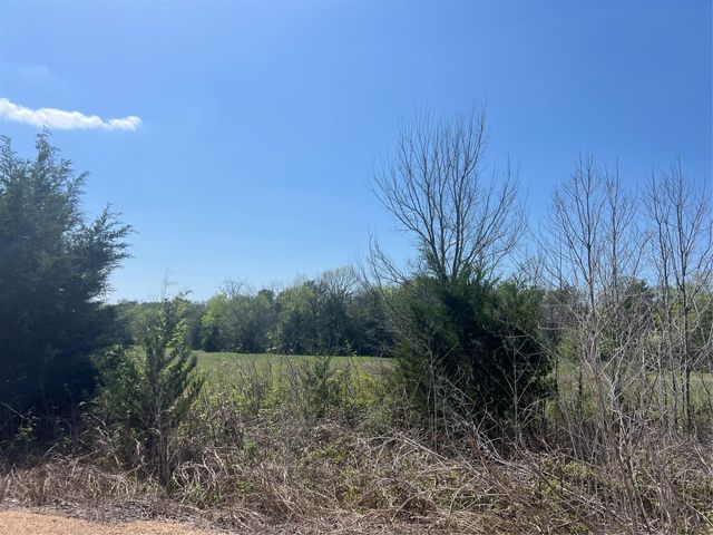 00012 Cr 218 Road, Anderson, TX 77830
