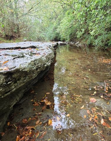 240 Neal Rd, Watertown, TN 37184