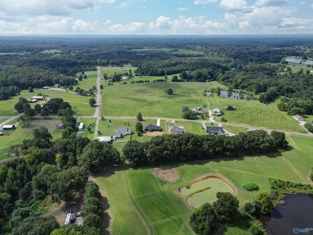 3487 County Road 317, Moulton, AL 35650
