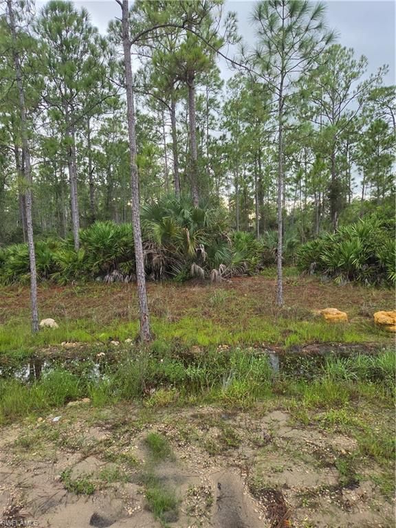 2311 Truman AVE, ALVA, FL 33920 — exterior