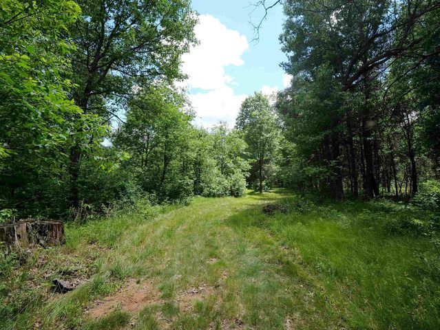 791 FIESTA DRIVE, Nekoosa, WI 54457