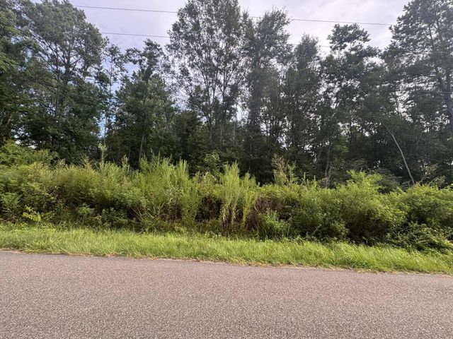 0 Sandhill Township Rd., Ellisville, MS 39437