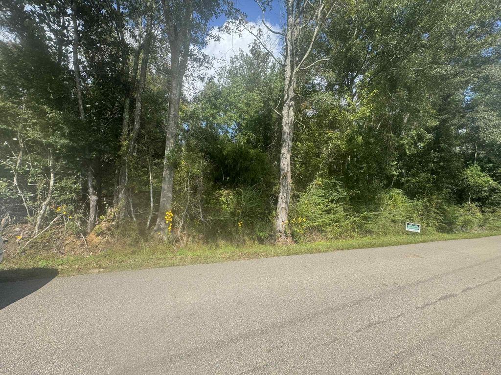 0 Sandhill Township Rd., Ellisville, MS 39437