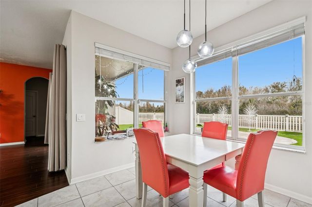 9230 ZINCOE LANE, Land O Lakes, FL 34638