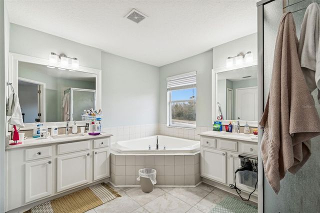 9230 ZINCOE LANE, Land O Lakes, FL 34638