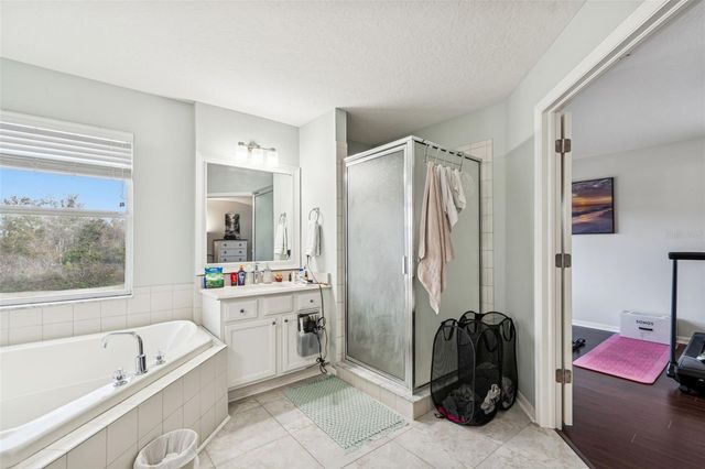 9230 ZINCOE LANE, Land O Lakes, FL 34638