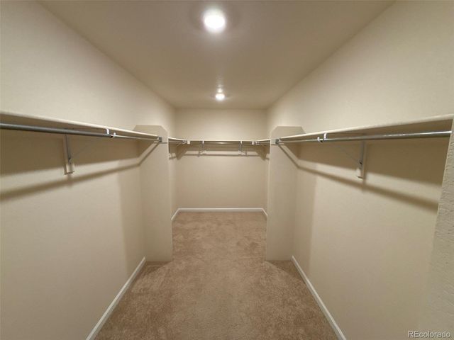 2243 Villageview Lane, Castle Rock, CO 80104