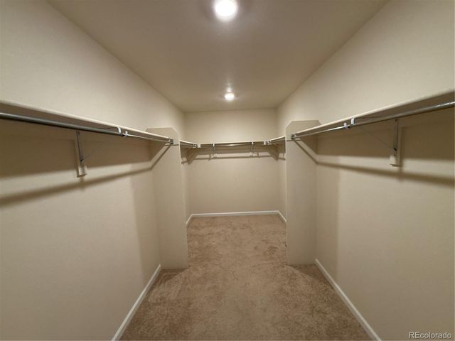 2243 Villageview Lane, Castle Rock, CO 80104