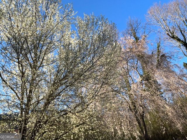 256 Black Rock Mountain Parkway, Clayton, GA 30525