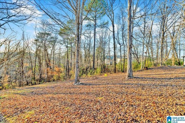 891 RIDGEWOOD DRIVE, Remlap, AL 35133