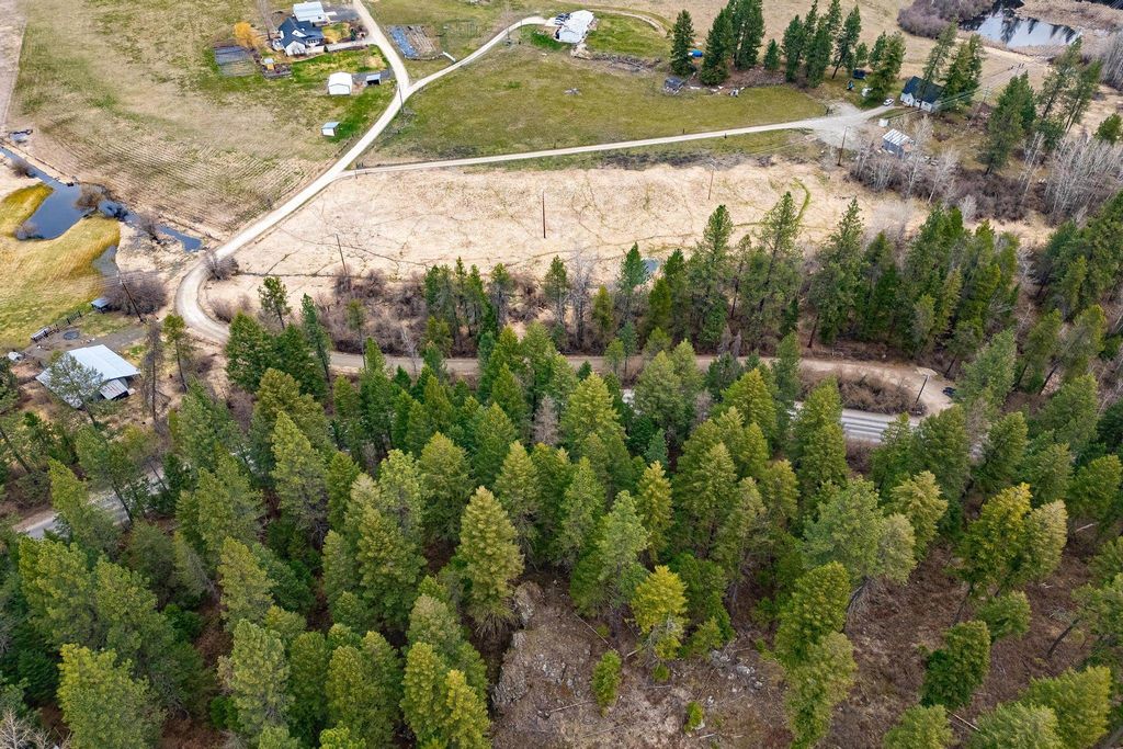 Nka E Deer Park Milan Rd, Chattaroy, WA 99003 photo 16